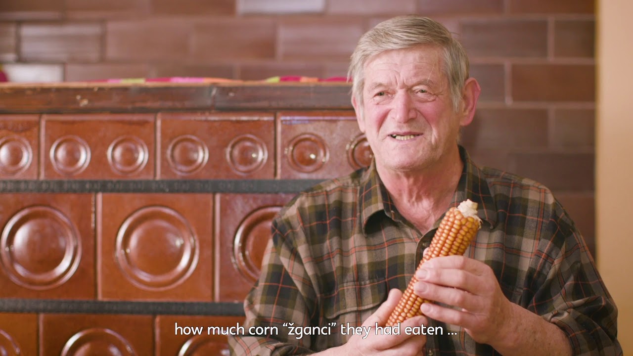 Alpine food heritage: Corn »trdinka« in Bohinj (Slovenia)