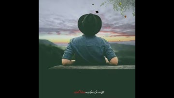 New #TreeFall Whatsapp status 🤩#SkyEfect #trending