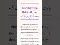 Tears Woven In Habit S Thread عادت کے ریشوں میں ب نے آنسو