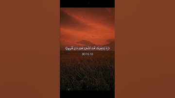 اجر لي ولكـم 🌟🌷#كلير_تحبكم#قران_كريم#اكسبلور#راحة_نفسية#لايك#حالات_واتس#سورة_الفتح#اسلام_صبحي