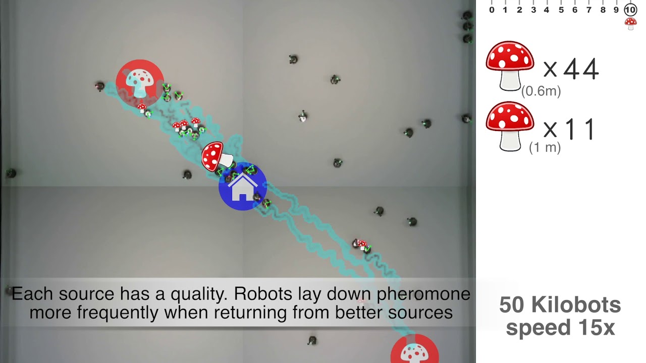 Quality-sensitive foraging by a robot swarm through virtual pheromone trails (demo D2)