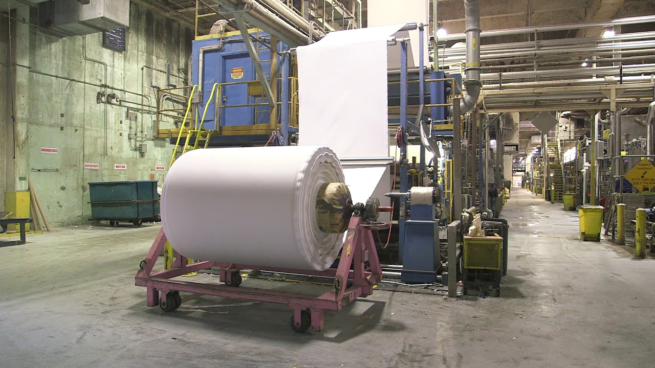 Milliken s Magnolia Plant In Blacksburg 2 3 YouTube milliken-s-magnolia-plant-in-blacksburg-2-3-youtube