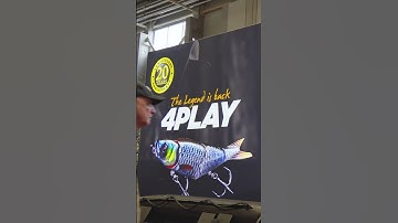 PontyShow 2025 AfterMovie