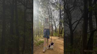 Everyones Dreams Are Important