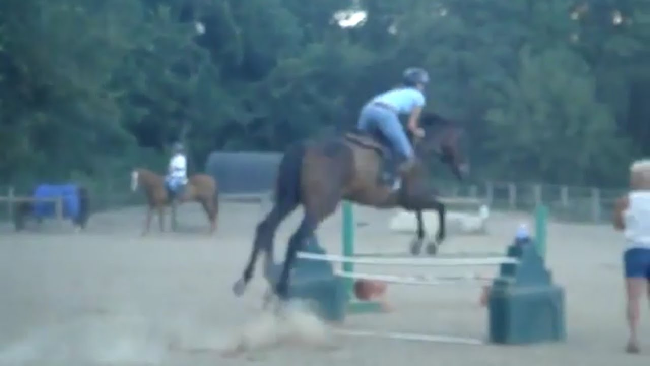 horseshoe bend Horse Jumping 4