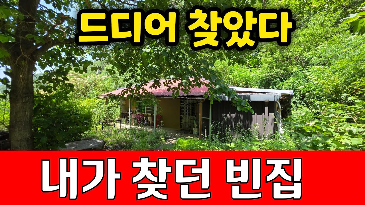 4박자를 모두 갖추고 있는 나홀로 골짜기 끝집 /물/전기/도로/인터넷 다되는 내가 찾던 그 빈집