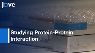 Liquid Phase Affinity Capture Assay By Magnetic Beads:Poliovirus-Nanobody Example l Protocol Preview