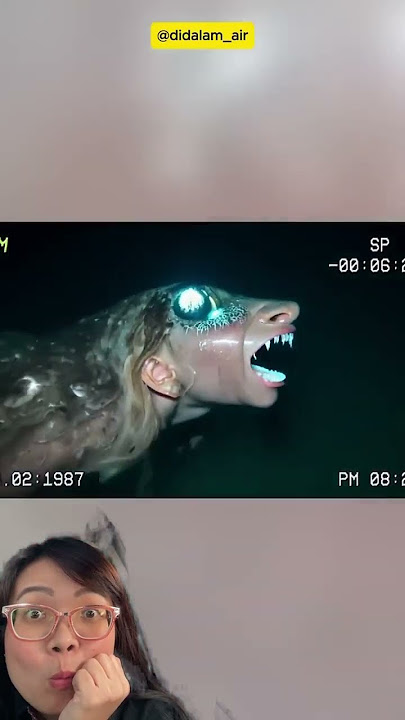 Lihat‼️Ini bentuk putri duyung yg asli‼️ #shorts #ytkids #mermaid #putri #facts