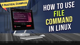 How To Use “File” Command In Linux [9 Practical Examples] | Linuxsimply