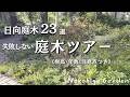 植える前に見て！失敗しない庭木選び／日向の庭木23種🌿低木ツアー