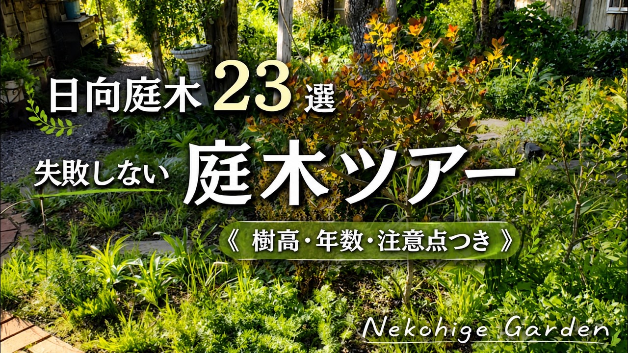 植える前に見て！失敗しない庭木選び／日向の庭木23種🌿低木ツアー