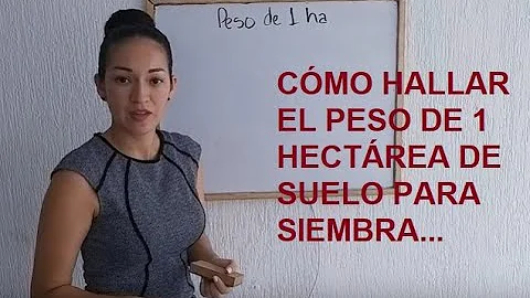 Come si calcola il peso di un terreno?