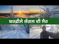 🇮🇹ਖਤਰਨਾਕ ਬਰਫ਼ੀਲੇ ਜੰਗਲ ਬਿਨਾ ਪੱਤਿਆ ਤੋ ਚਿੱਟੇ ਦਰੱਖ਼ਤ Dangerous snowy forest white trees without leaf🇮🇹