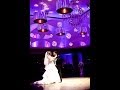 Amazing Lebanese Wedding Reception of Fouad &amp; Amanda pt.2 of 2