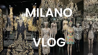 ВЛОГ/ выставка Dolce&Gabbana, неделя дизайна в Милане, взяла собаку на передержку