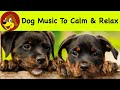 Relaxing dog music for calming them  for dogs  puppies to relax calm down  sleep