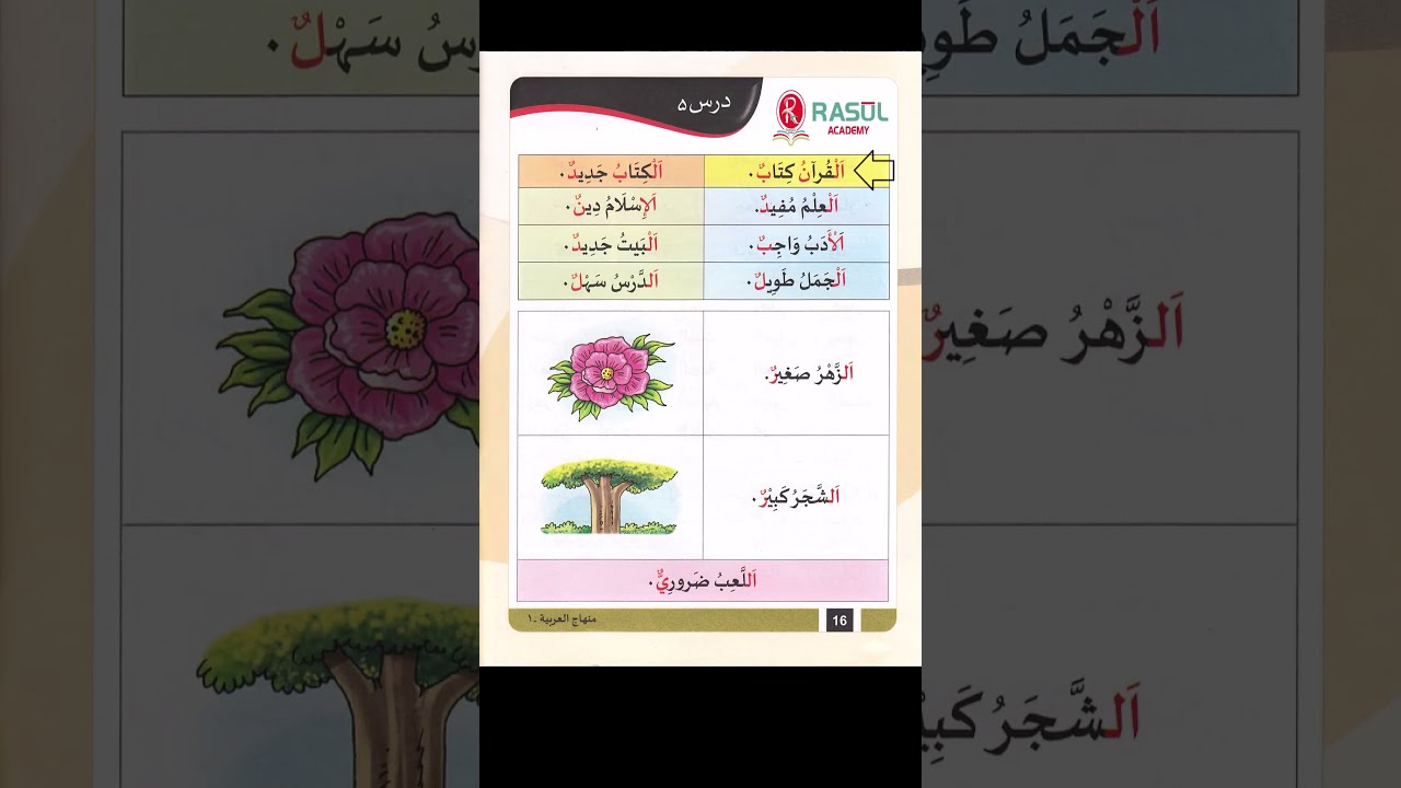 Minhaj al Arabia 1 lesson 5 | Basic Arabic sentences for beginners |  #learnarab  #arabic