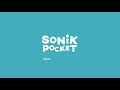 Ovhcloud startup ecoex pitch  sonik pocket