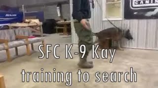 St. Francois County Sheriff's K-9 Kay learns to sniff out items during training