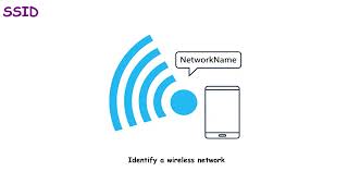 27.Ssid In Wireless Networks Explained In 1 Minute Ccna 2025