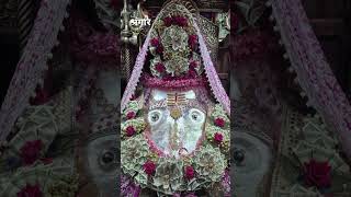 Jai kalka Maa ki #trending #trending #song #viral #mahagauri #music