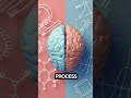 subscribe 👍 #science #sciencefacts #brain #shorts #viral