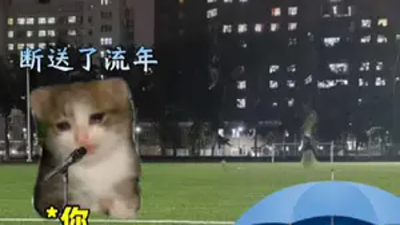 当失恋后在雨中唱歌万万想不到 猫meme 猫meme小剧场