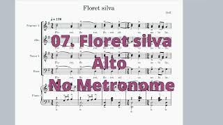 Piccolo A - 07. Floret silva
