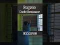 Degree, Besic Grammar, example, #bongstudies #bongeducation #boardexam #wbboard