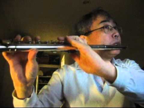 찬송가 Hymn - 460 장 - 지금까지 지내 온 것 (God's Great Grace) - Pearl Nickel Flute bekijken op YouTube