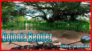 Recorriendo Colonia Benítez, Entre Naturaleza Y Calma