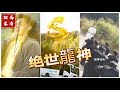 [MULTI SUB] 《绝世龙神》龙神后人李不凡，被女朋友卖到缅北之后，得到龙神传承，逆袭崛起。（高清全集）重磅推荐#短剧 #热门短剧 #短剧推荐 #爱情 #都市 #霸总#shorts image