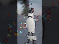 Penguenlerin Aşk Hikayesi 🫶