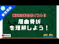 柔整理論【総論 骨折の分類(外力の働き方による分類②屈曲骨折)】@428medical