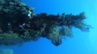 Download Lagu Dive 2 USAT Liberty Wreck Dive Tulamben Bali Indonesia MP3