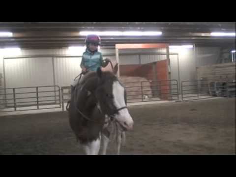 Grace And Reno. Cutest Horse Video Ever!!