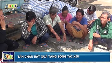 An Giang: Bắt quả tang sòng bạc