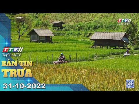 Video ????Bản tin trưa 31-10-2022 | Tin tức hôm nay | TayNinhTV - youtube