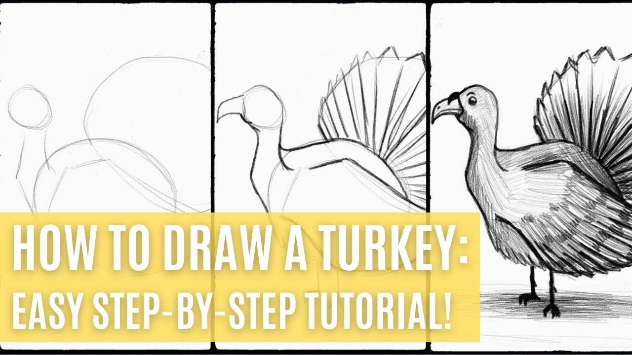 Turkey Drawing Images  Free Download on Freepik