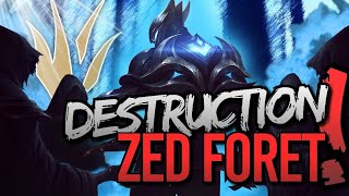 ILS ÉNERVENT MON SUPER ZED FORÊT ?!