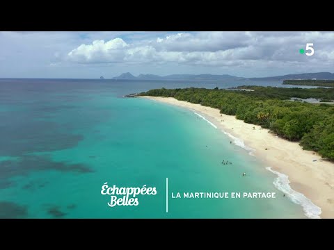 Ismaël et Théo : La Martinique en partage - Échappées belles