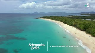 Ismaël et Théo : La Martinique en partage - Échappées belles