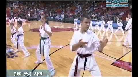 Master Sang Koo Kang 20th - Introduction video