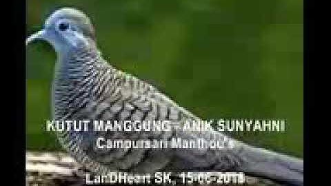 Kutut manggung - Anik Sunyahni