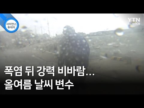 폭염 뒤 강력 비바람...올여름 날씨 변수 / YTN 사이언스