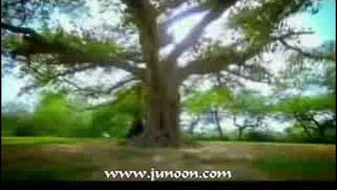 Ghoom Tana ~ Salman Ahmad