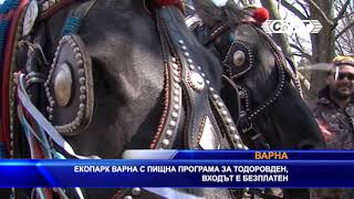 Екопарк Варна с пищна програма за Тодоровден, входът е свободен