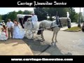 Horse Drawn Carriage - Wedding Carriage - Victorian Carriage 49 - Carriage Limousine Service