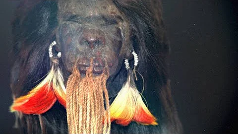 Is it illegal to own a shrunken head?
