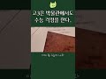 아 이거 수능에 나오는 거 아냐?